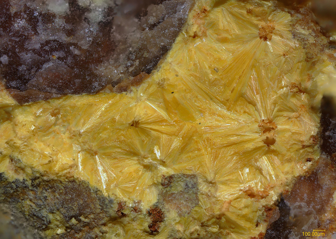 Kasolite & Phosphuranylite