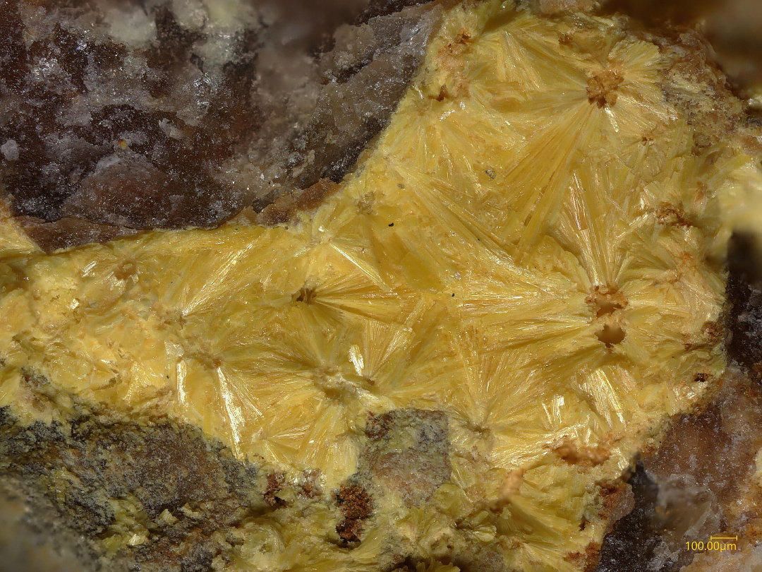 Kasolite & Phosphuranylite