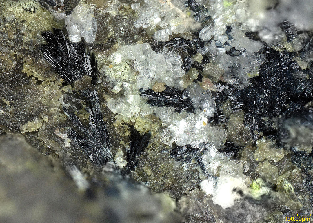 Vanarsite