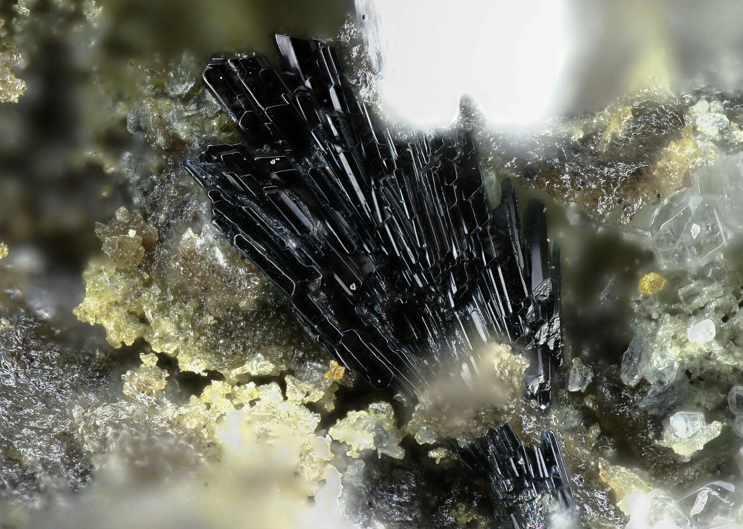 Vanarsite