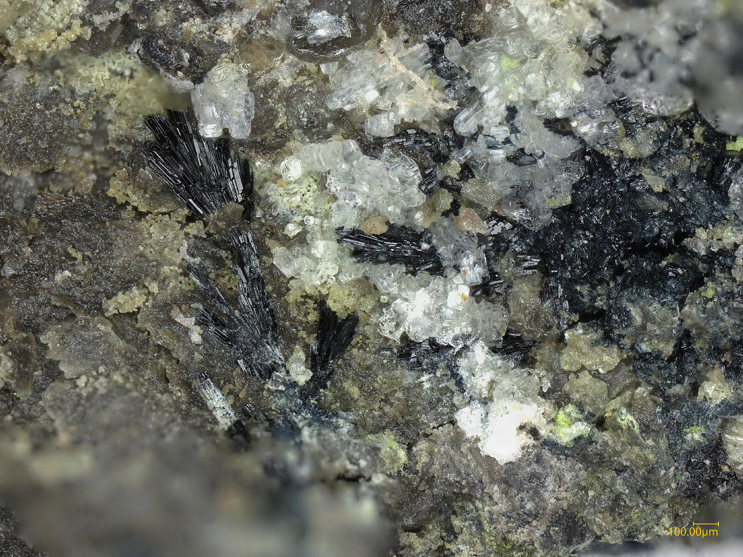 Vanarsite
