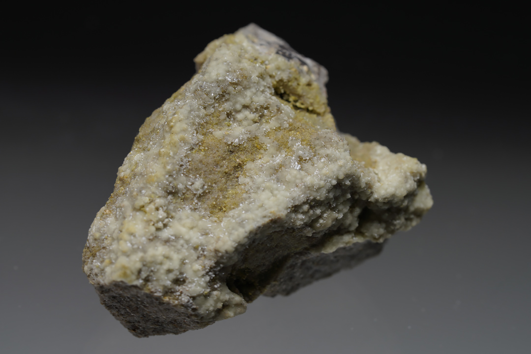 Dickthomssenite