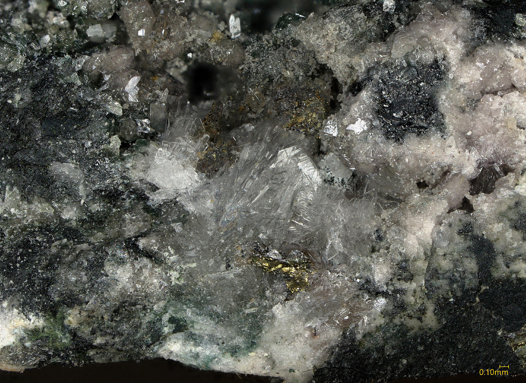Carlhintzeite