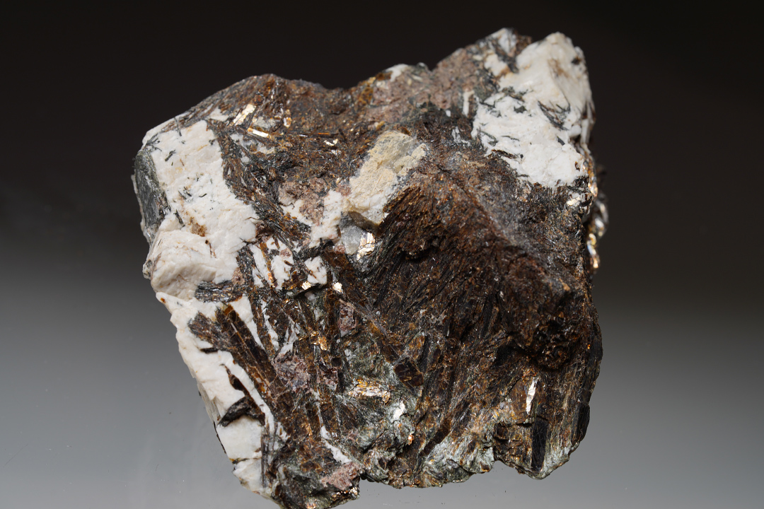 Astrophyllite