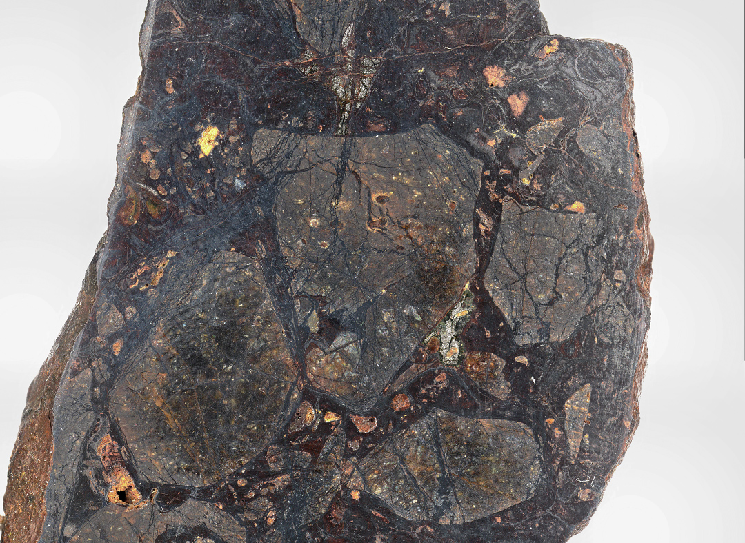 Pallasite Meteorite
