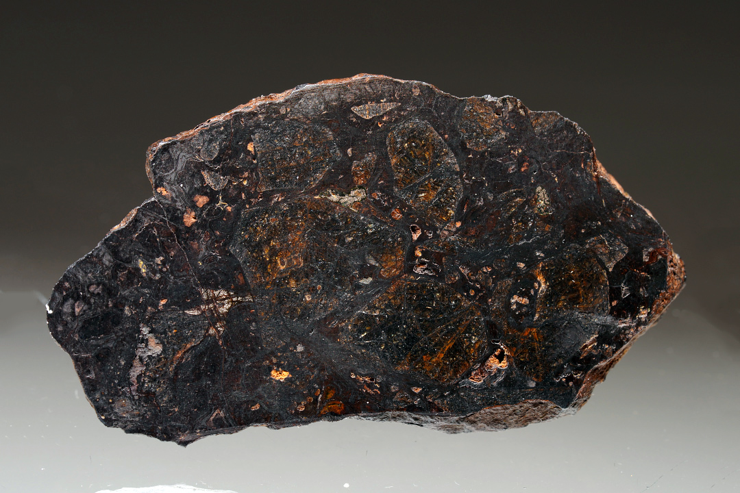 Pallasite Meteorite