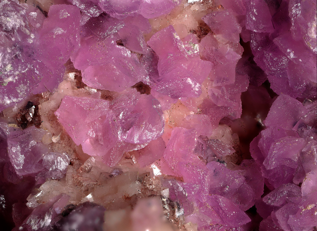 Cobaltoan Calcite