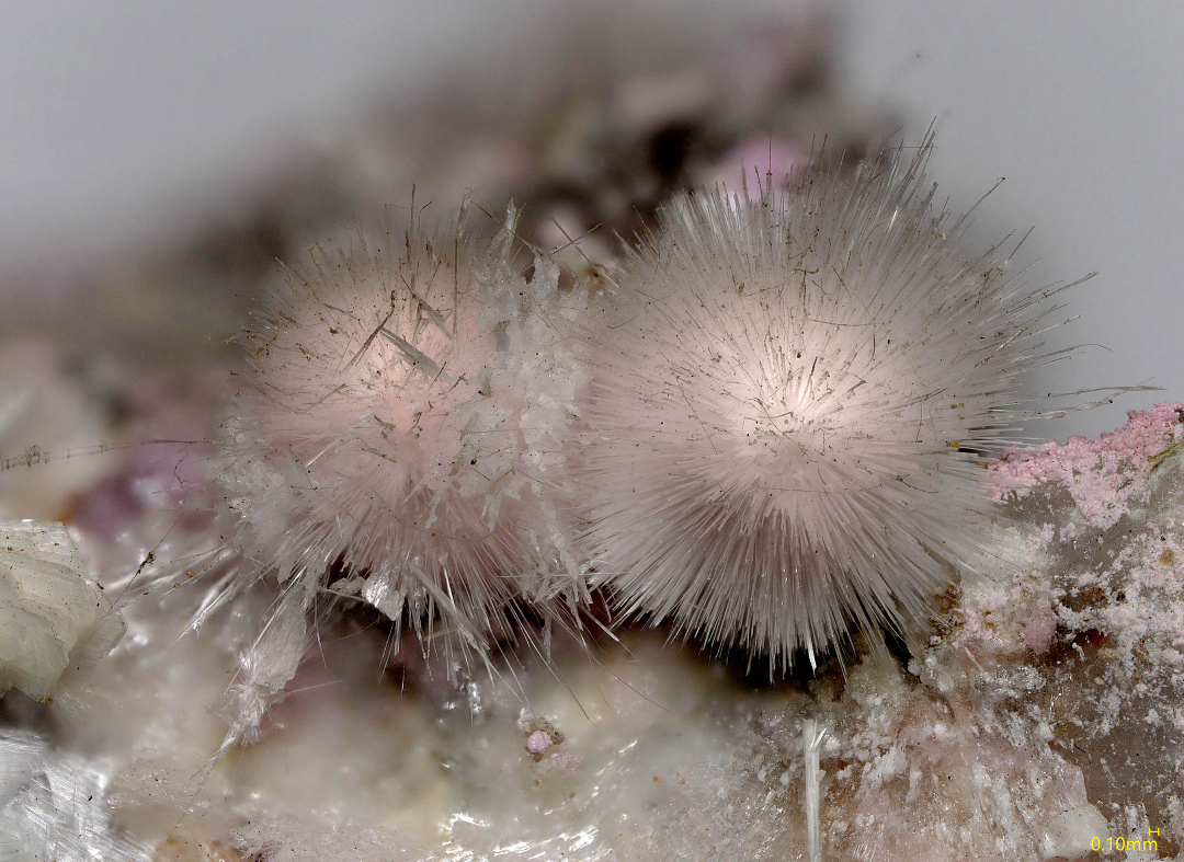 Picropharmacolite & Guérinite