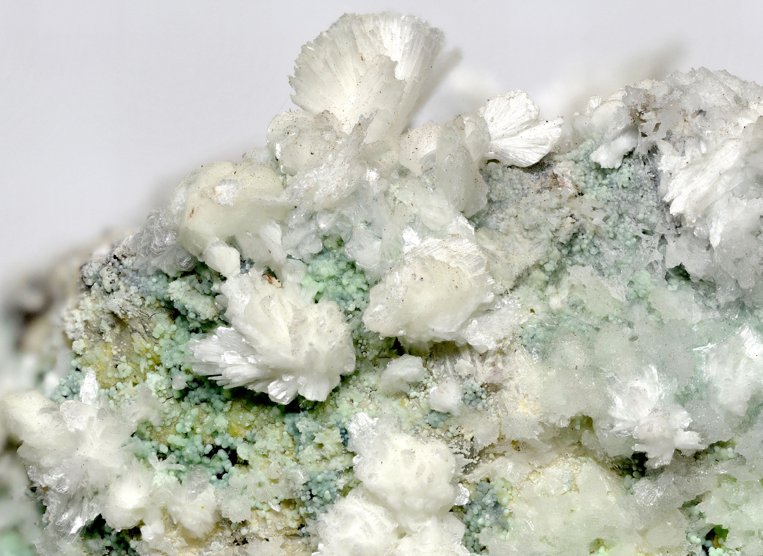 Picropharmacolite & Guérinite
