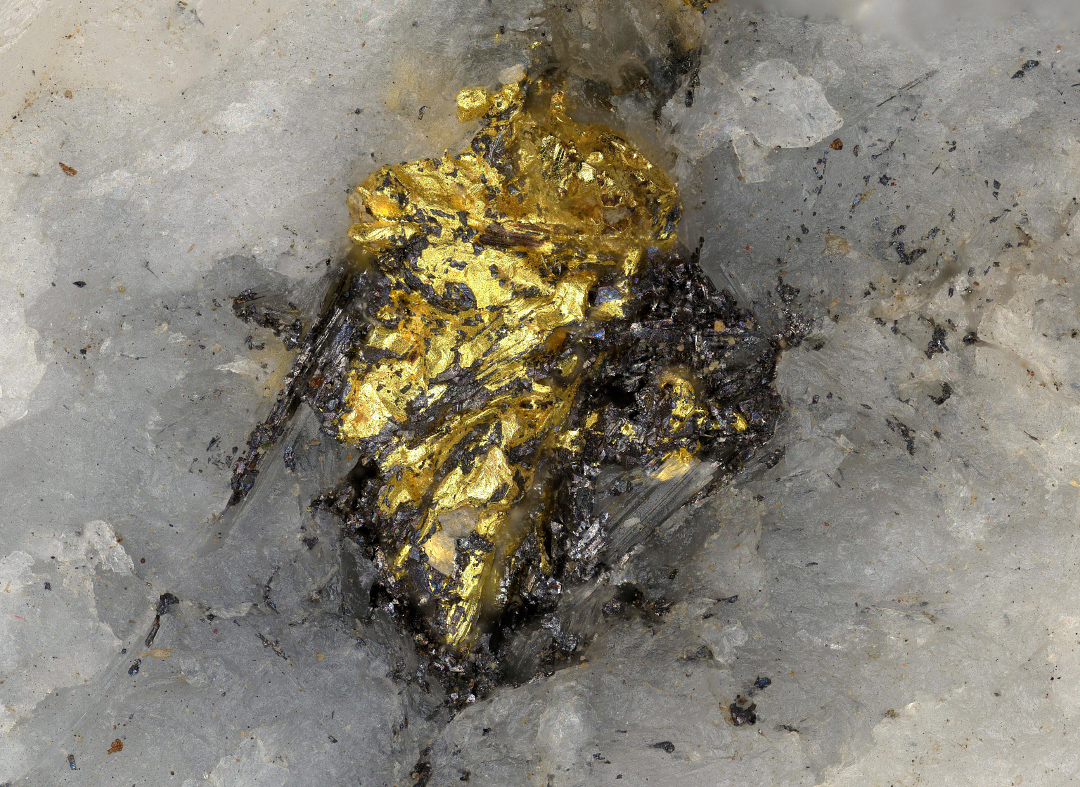 Native Gold & Acanthite