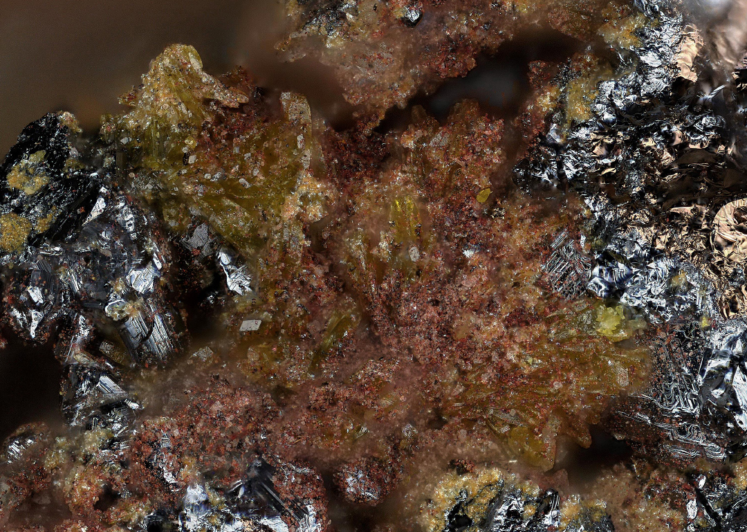 Bartelkeite & Segnitite