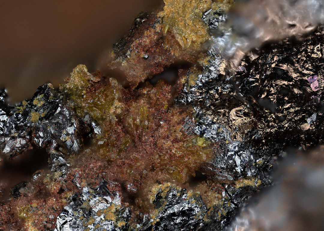 Bartelkeite & Segnitite