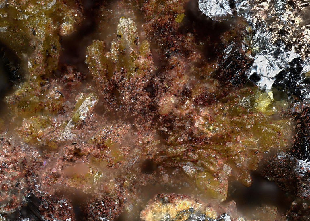 Bartelkeite & Segnitite