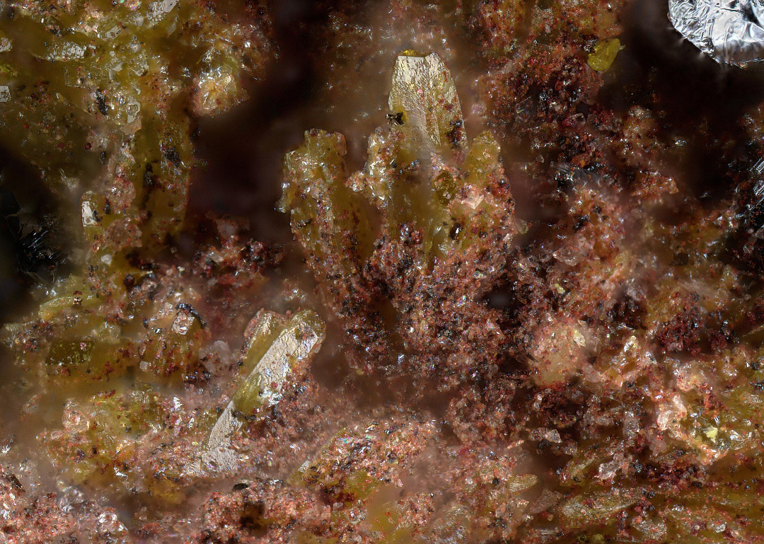 Bartelkeite & Segnitite