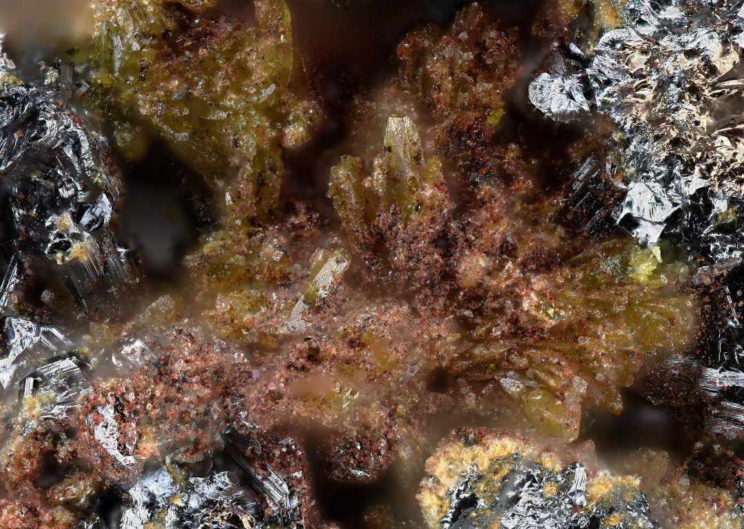 Bartelkeite & Segnitite