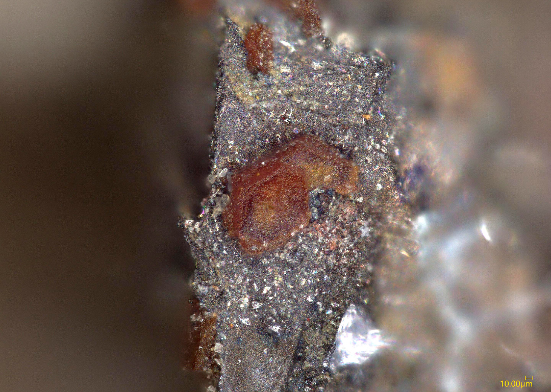 Greenockite On Smithsonite