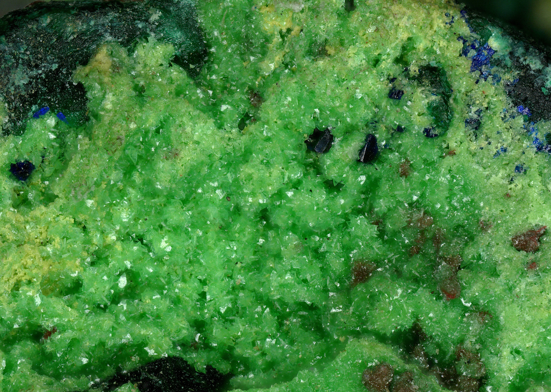 Arsentsumebite & Gartrellite