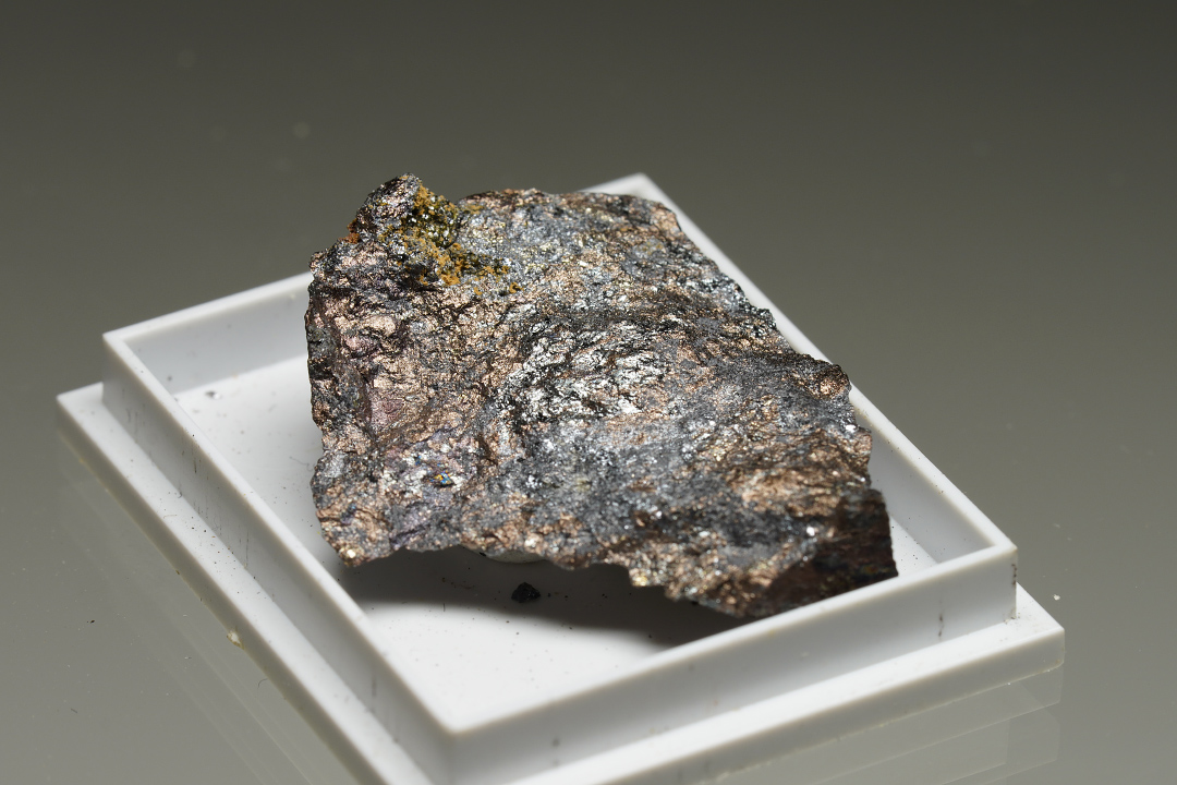Bartelkeite & Segnitite