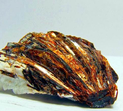 Astrophyllite