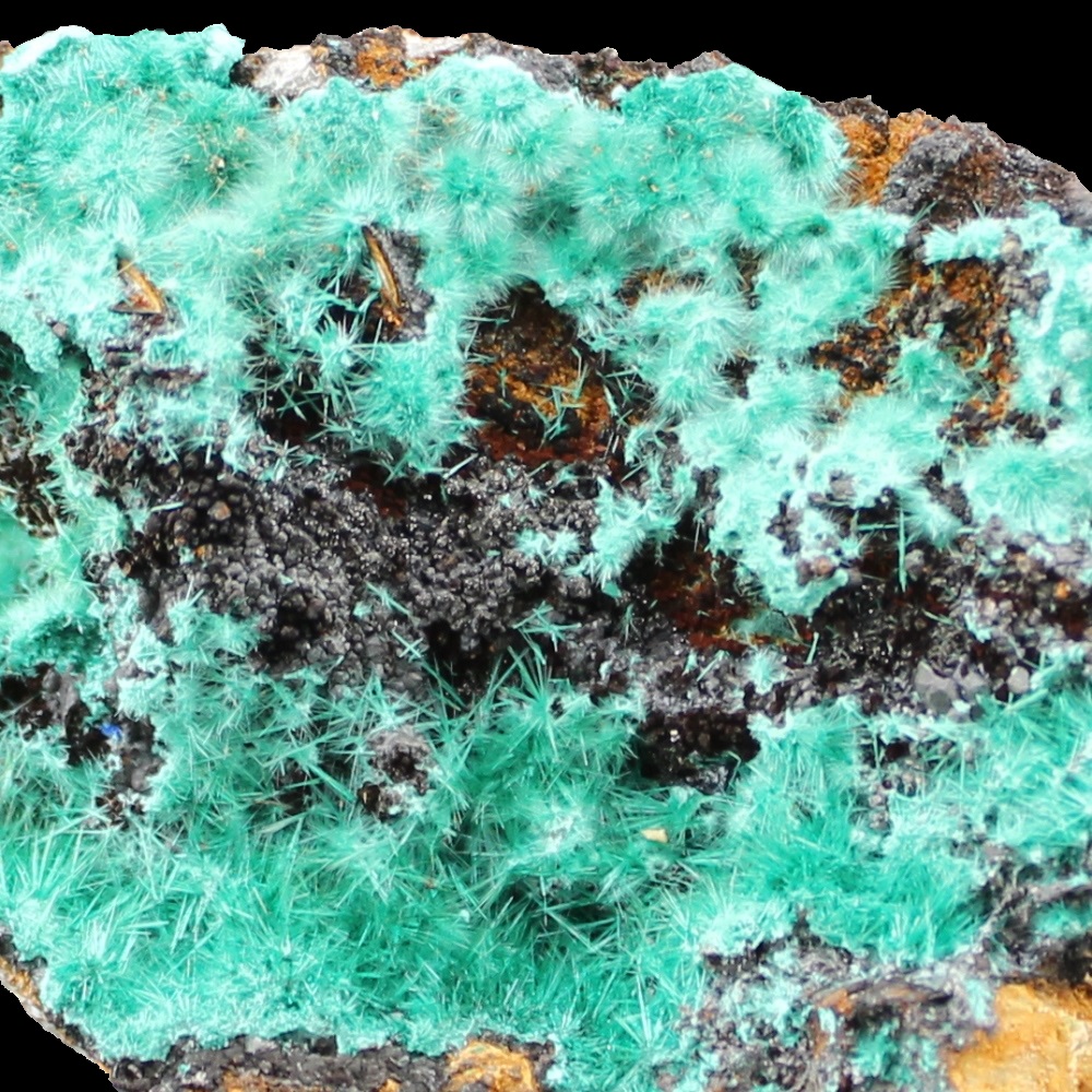 Murdochite & Brochantite