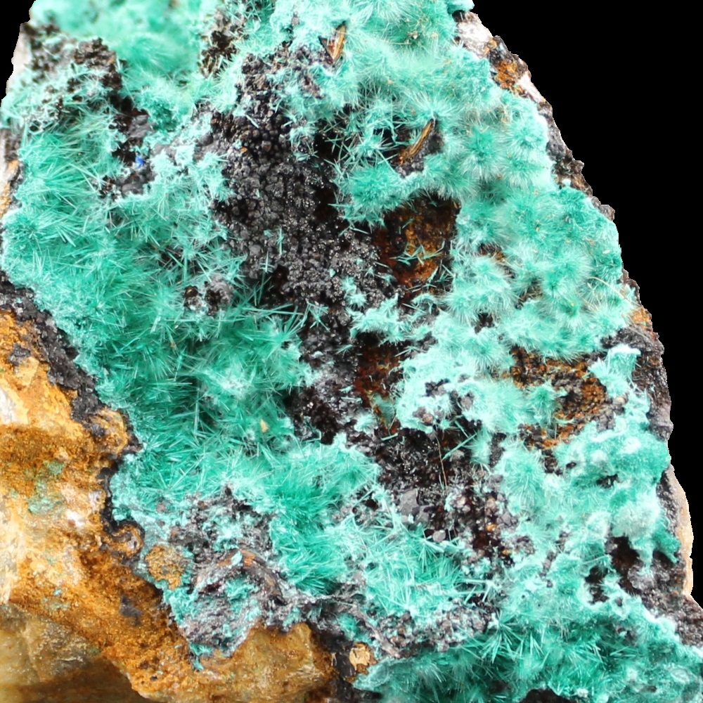 Murdochite & Brochantite