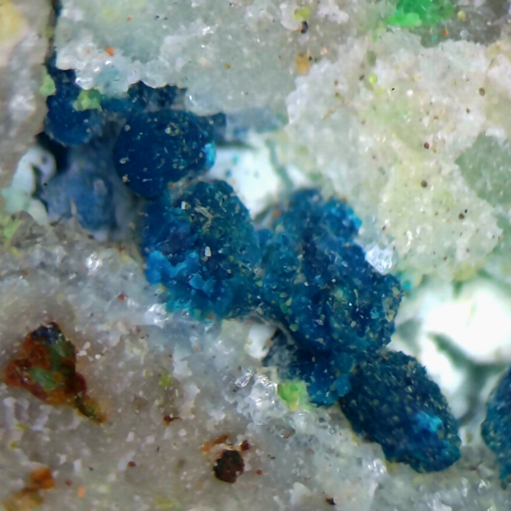 Arhbarite & Conichalcite