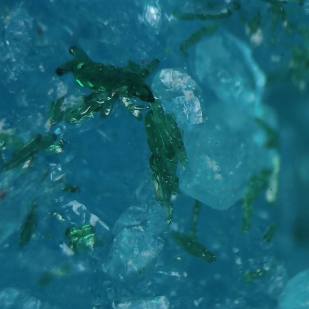 Kröhnkite & Atacamite