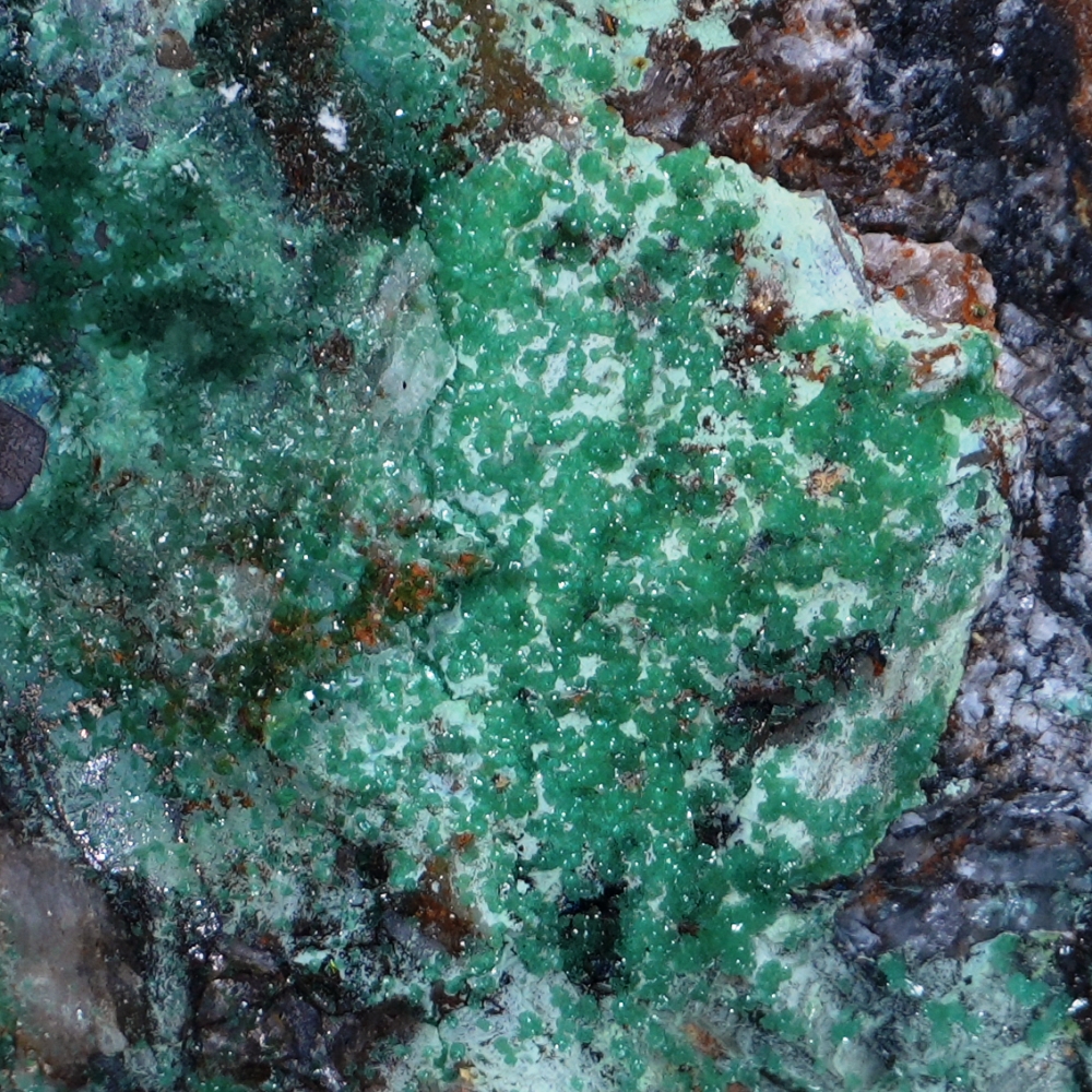 Adamite & Zincolivenite