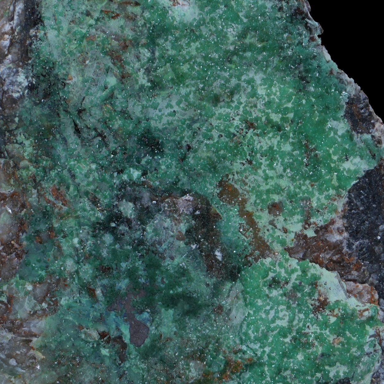 Adamite & Zincolivenite