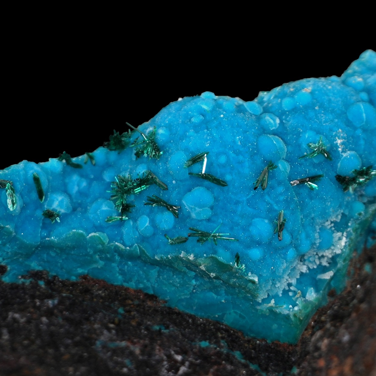 Chrysocolla & Brochantite