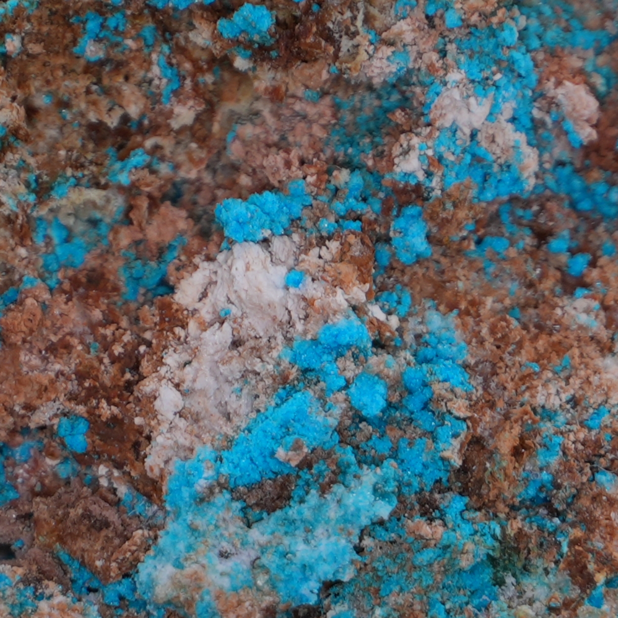 Lavendulan & Magnesiocanutite