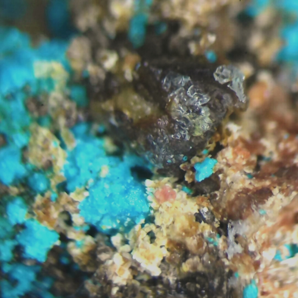 Lavendulan & Magnesiocanutite