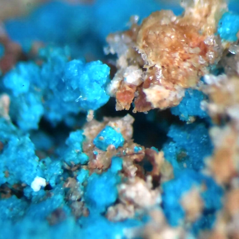 Lavendulan & Magnesiocanutite