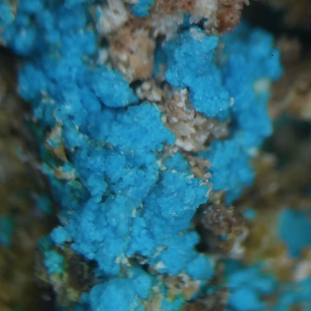 Lavendulan & Magnesiocanutite