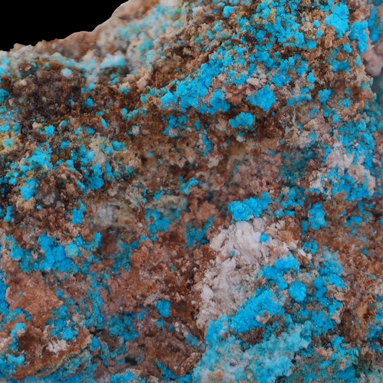 Lavendulan & Magnesiocanutite