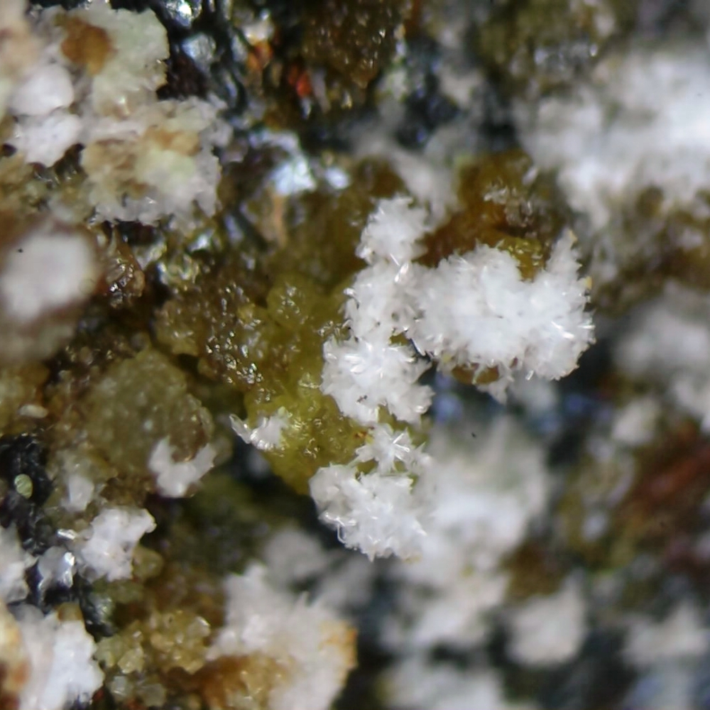 Chinchorroite & Magnesiocanutite