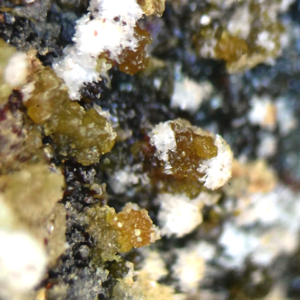 Chinchorroite & Magnesiocanutite