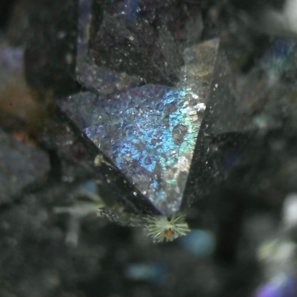 Magnetite & Rockbridgeite