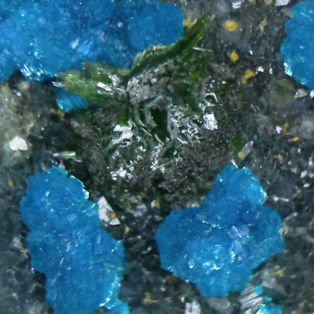 Sampleite & Libethenite