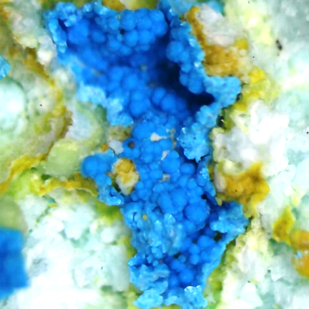 Chalcomenite & Cyanotrichite