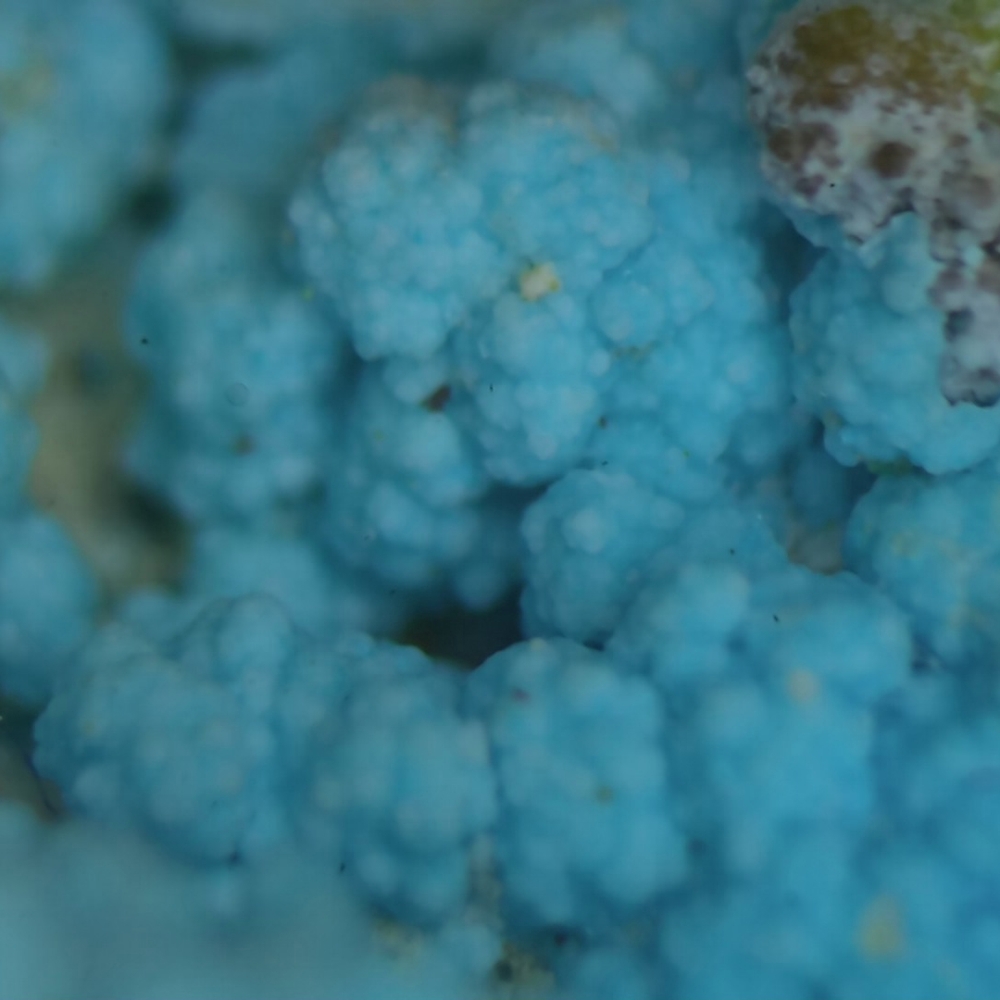 Chalcomenite & Cyanotrichite