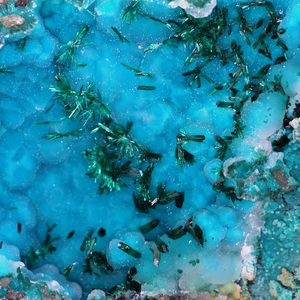 Chrysocolla & Brochantite