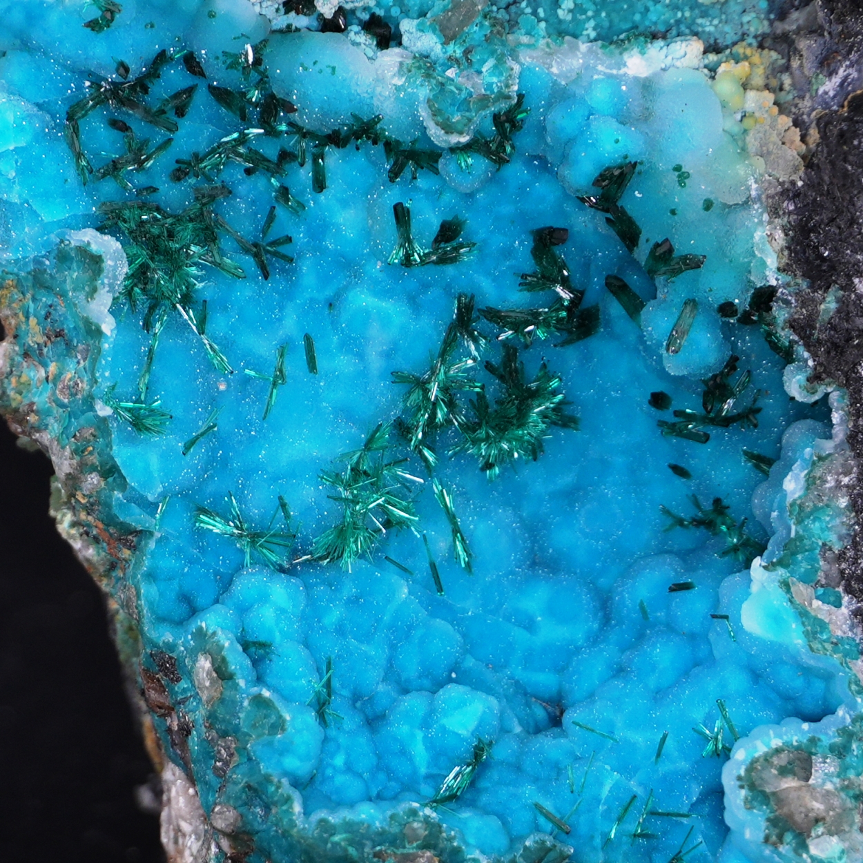 Chrysocolla & Brochantite
