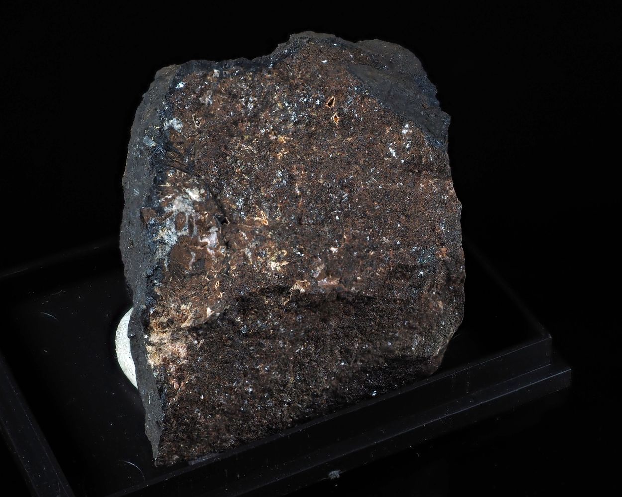 Caryopilite