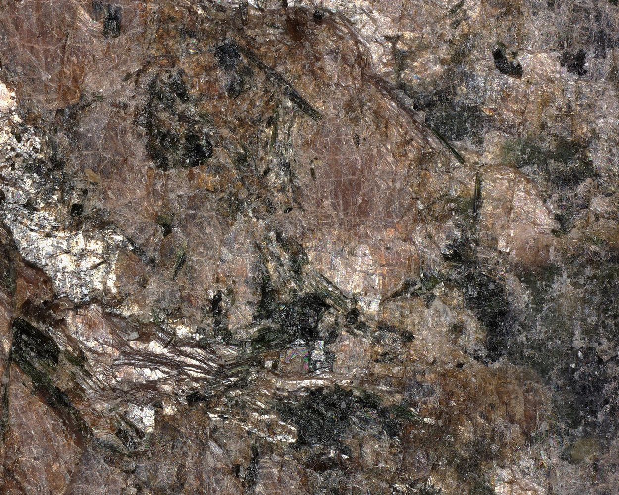 Calciomurmanite