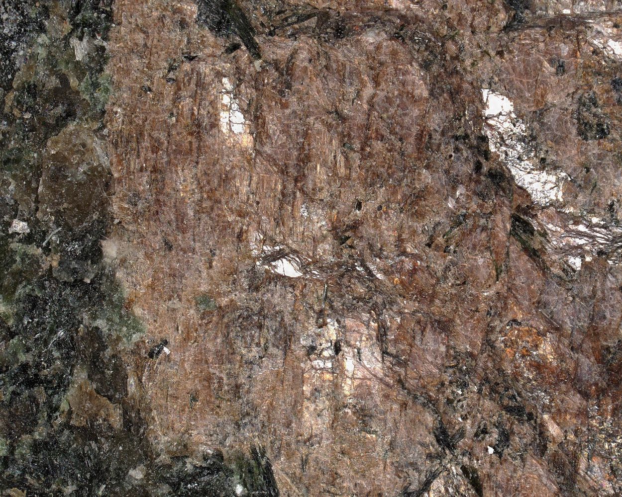 Calciomurmanite