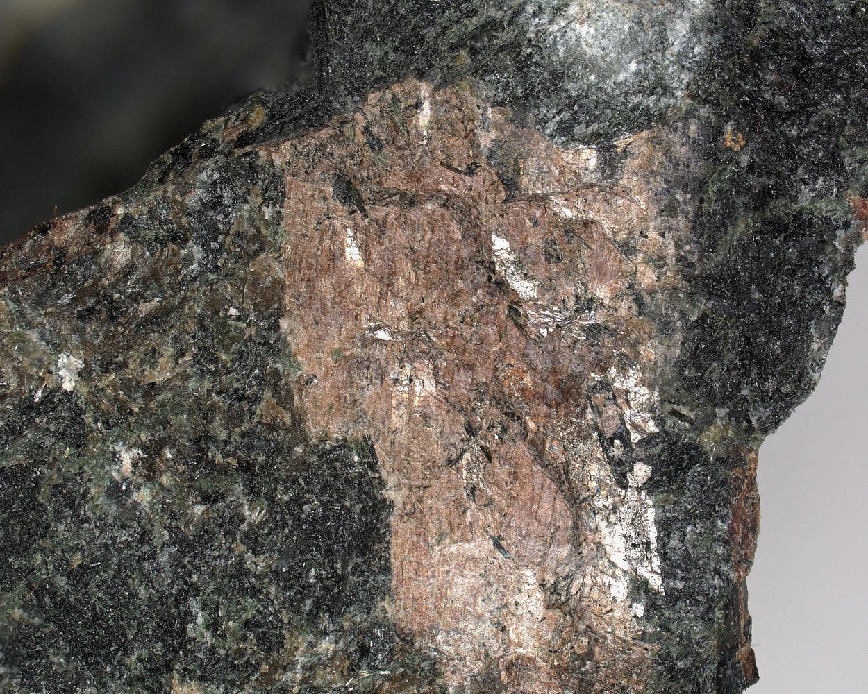 Calciomurmanite