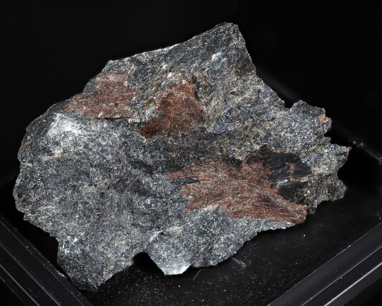 Calciomurmanite