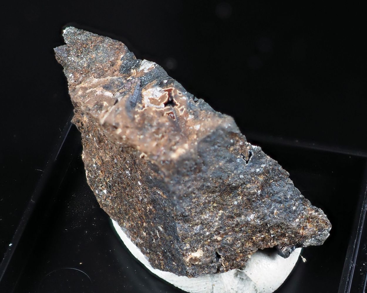 Caryopilite