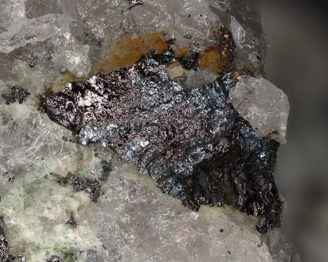 Kostovite In Bornite